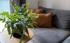 Apartament Centro z bezpłatnym garażem